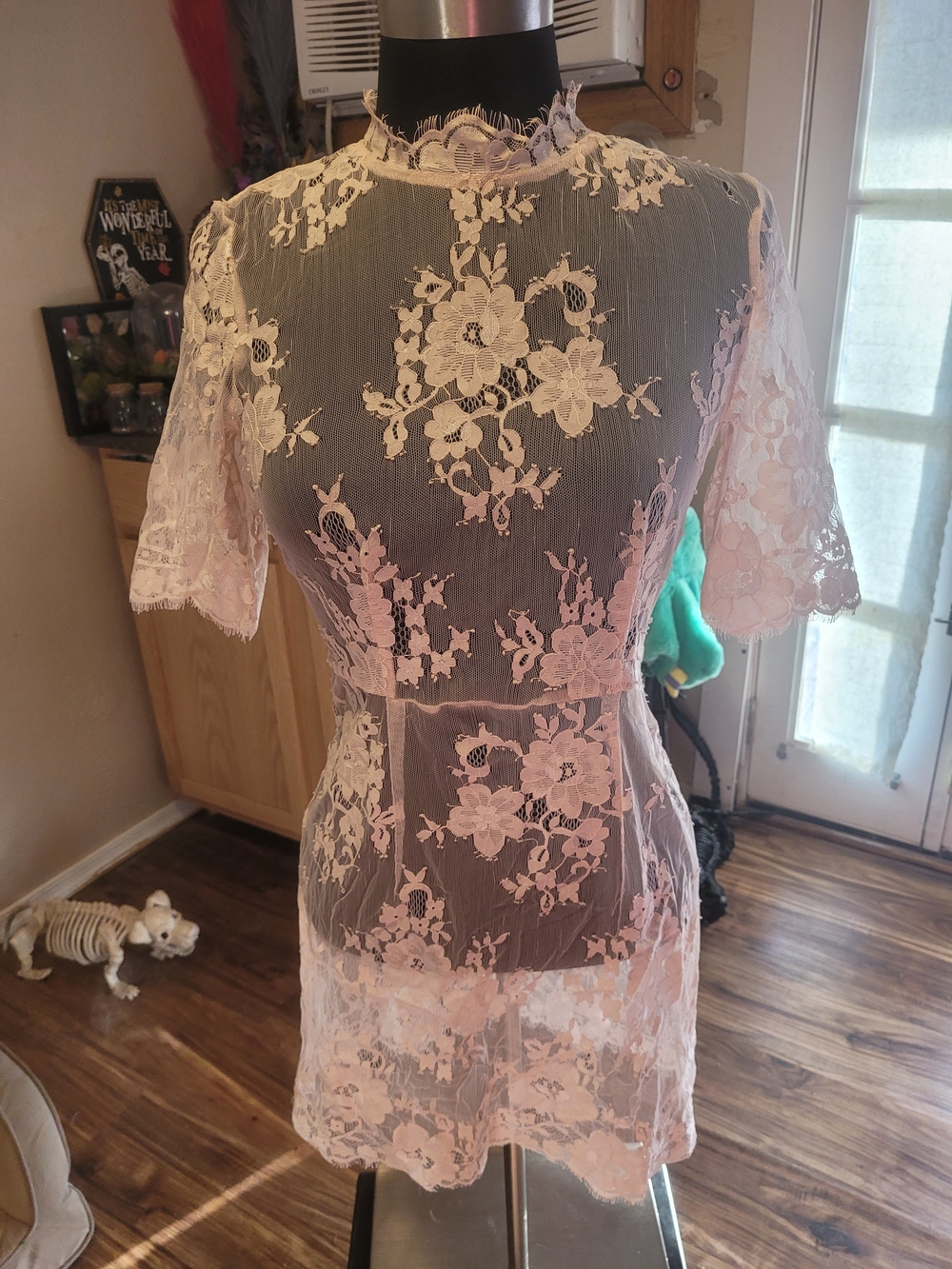 Sheer Pink Lace Chemise with Floral Overlay